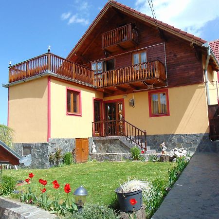 Pensiunea Neba Bran  Exterior foto
